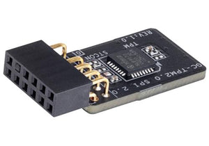 MB ACC TPM MODULE/GC-TPM2.0 SPI 2.0 GIGABYTE