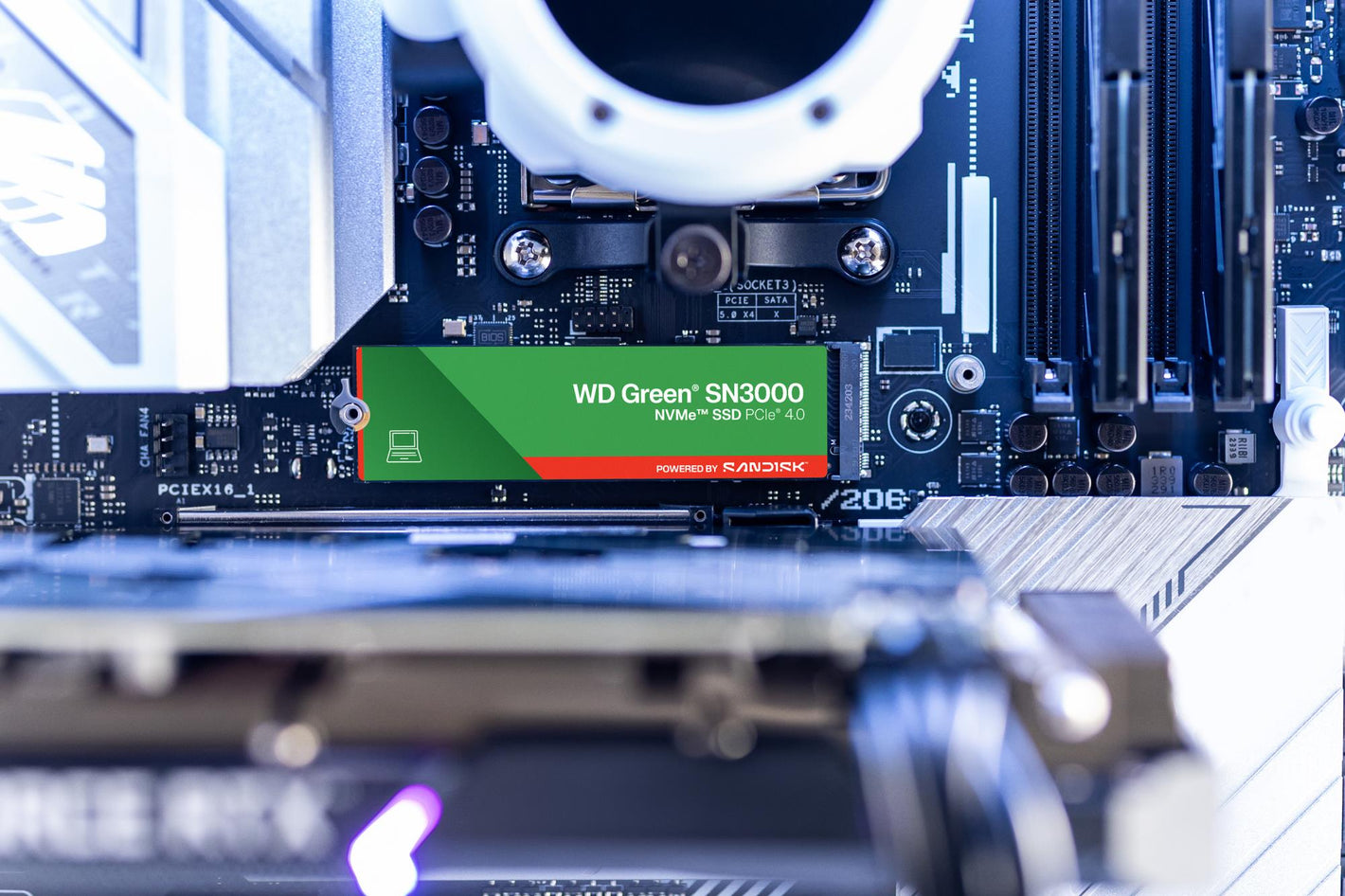 SSD|SANDISK|Green|POWERED BY SANDISK|1TB|M.2|NVMe|Write speed 4200 MBytes/sec|Read speed 5000 MBytes/sec|2.3mm|TBW 150 TB|WDS100T4G0E