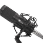 Genesis | Gaming Microphone | Radium 300 | Black | Wired