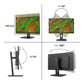 PHILIPS 32B1N3800/00 Monitor 31.5i UHD