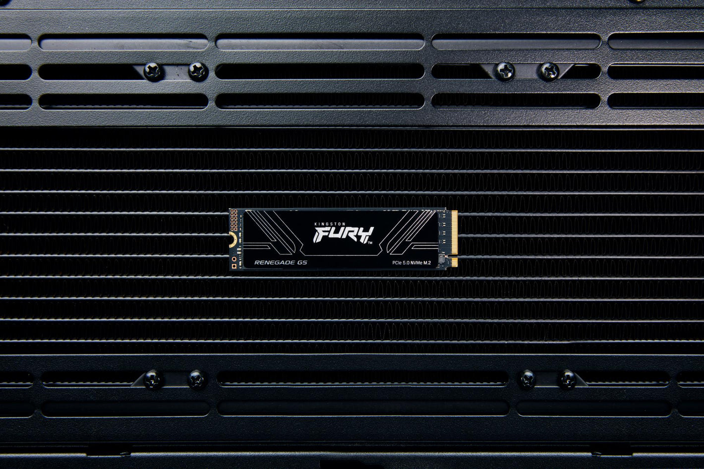 SSD|KINGSTON|FURY|4TB|M.2|PCIe Gen5|NVMe|3D TLC|Write speed 14000 MBytes/sec|Read speed 14800 MBytes/sec|2.3mm|MTBF 200000 hours|SFYR2S/4T0