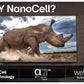 TV Set|LG|65 "|4K Ultra HD|3840 x 2160 pixels|Flat|16:9|LED|65NANO82A6B