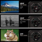 MOBILE PHONE ARMOR X16/6/128GB SAND DUNE ULEFONE