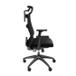 Genesis Ergonomic Chair Astat 200 Base material Nylon; Castors material: Nylon with CareGlide coating | Black