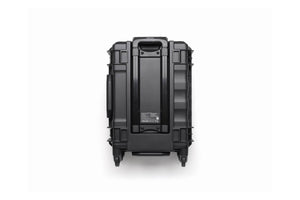 BS100 Intelligent Battery Station