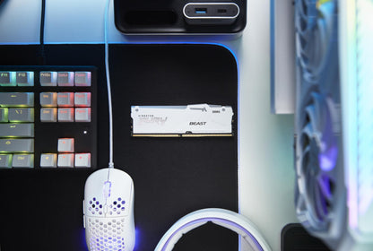 MEMORY DIMM 32GB DDR5-6000/KF560C36BWEA-32 KINGSTON