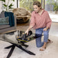 WINDOW VAC WV 5 PLUS/ANNIV.ED 1.633-711.0 KARCHER