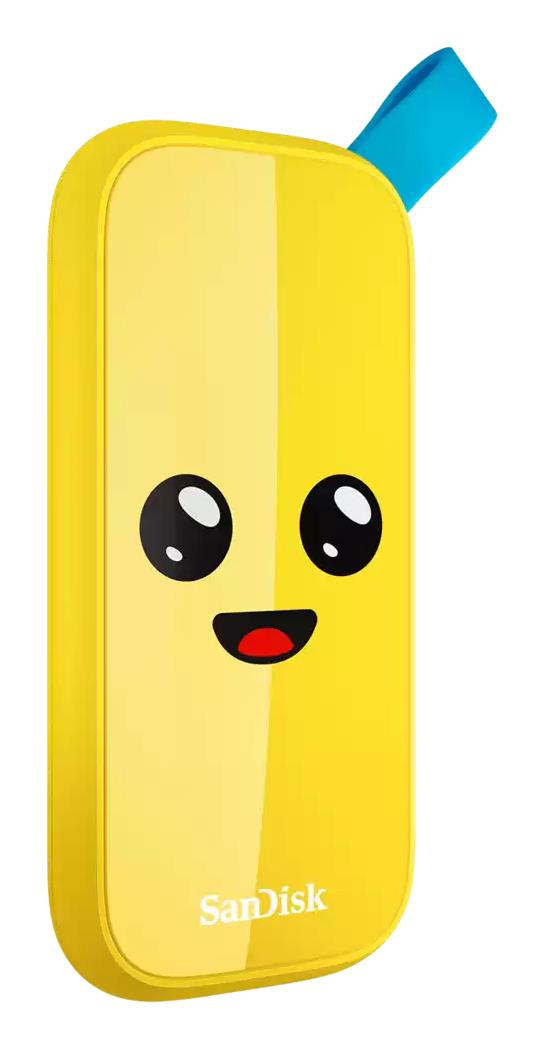 External SSD|SANDISK|1TB|USB 3.2|Read speed 800 MBytes/sec|SDSSDE30-1T00-G25F