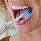 Philips | Replacement brush heads | HX9044/87 Sonicare Premium Plaque Defence | Heads | For adults | Number of brush heads included 4 | White
