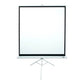 Elite Screens | Tripod Series | T120NWV1 | Diagonal 120 " | 4:3 | Viewable screen width (W) 244 cm | White