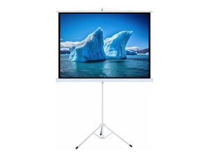 ART HAND-HAND SCREEN ON A TRIPOD 110inch