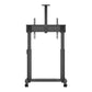 MB Motorized Public Floorstand Dual