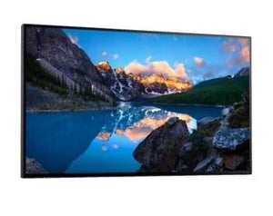 MONITOR LCD 24" U2424H IPS/WITHOUT STAND 210-BLBT DELL