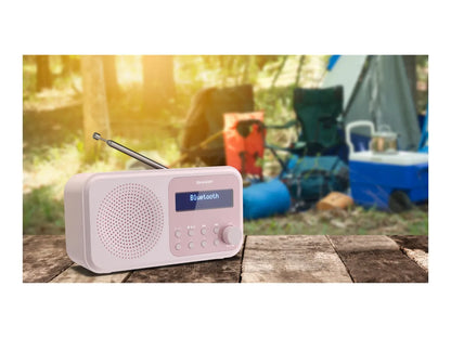 Sharp | Tokyo Digital Radio | DR-P420(PK) | Bluetooth | Wireless connection | Portable | Pink