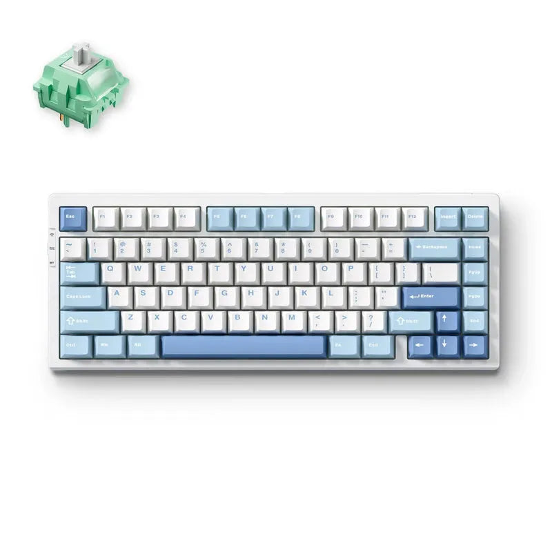 MCHOSE G75 Pro Wireless Gaming Keyboard | Blue, KTT Cabbage Tofu V2
