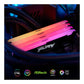 Kingston | FURY Beast RGB | 32 GB | DDR4 | 1600 MHz | PC/server | Registered No | ECC No