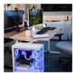 Arozzi Electric Standing Desk | Arena Nordico | Birch