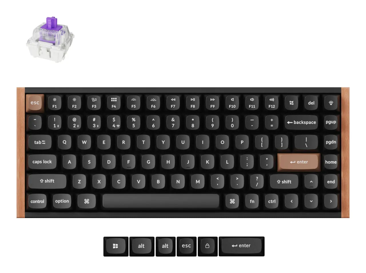 Keychron K2 HE SE - US Layout - Gateron Magnetic Nebula - Carbon Black