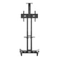 MULTIBRACKETS Public Floorstand Basic