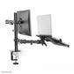 NEWSTAR FLAT SCREEN & NOTEBOOK DESK MOUNT (CLAMP/GROMMET)  10-32" BLACK