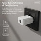 Digitus | Battery charger, 20W | DA-10300