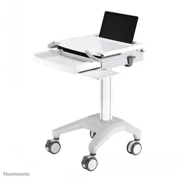 NEWSTAR MOBILE LAPTOP CART, INCL. KEYBOARD & MOUSE DRAWER 10-22" CR?ME