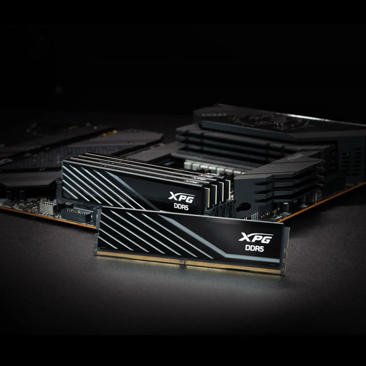 MEMORY DIMM 16GB DDR5-5600 K2/AX5U5600C468G-DTLABBK ADATA
