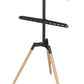 TV SET ACC FLOOR STAND 32-65"/TRIPOD TVS-65S-01 GEMBIRD