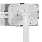TABLET ACC FLOOR STAND/FL15-625WH1 NEOMOUNTS
