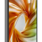 MOBILE PHONE FOCUS 2 5G/8/256GB BLACK NUBIA