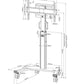 MONITOR ACC FLOOR STAND 37-75"/FL50S-825WH1 NEOMOUNTS