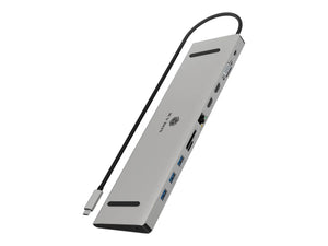 ICY BOX IB-DK2106a-CPD Docking Station