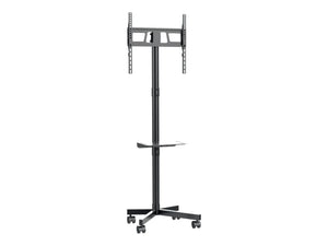 GEMBIRD TV floor stand w caster wheels