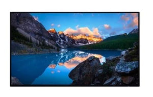 MONITOR LCD 24" U2424H IPS/WITHOUT STAND 210-BLBT DELL