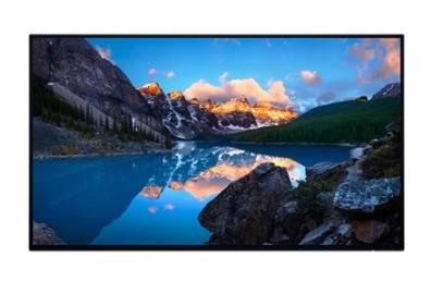 MONITOR LCD 24" U2424H IPS/WITHOUT STAND 210-BLBT DELL