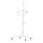 REFLECTA TV Stand 70VCP-Shelf WHITE
