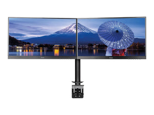 IIYAMA DS1002C-B1 dual bracket (P)