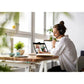 JABRA Evolve2 50 USB-C UC Stereo