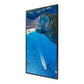 SAMSUNG OM75A 75inch UHD/4K 16:09