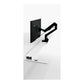 Arozzi Electric Standing Desk | Arena Nordico | White