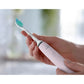 Philips | Sonic Electric Toothbrush | HX3651/11 Sonicare | Rechargeable | For adults | Number of brush heads included 1 | Number of teeth brushing modes 1 | Sonic technology | Sugar Rose