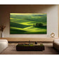 TV Set|TCL|50 "|4K Ultra HD|3840 x 2160 pixels|Flat|16:9|QD-Mini LED|50C7K