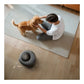 Anker Eufy | Robot Vacuum Cleaner with All-in-One Station | Omni C20 | Wet&Dry | 7000 Pa | Gray
