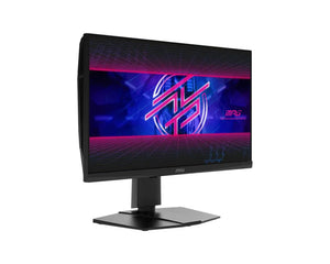 LCD Monitor|MSI|MPG 242R X60N|24.1"|Gaming/USB Hub|Panel TN|1920x1080|16:9|600 Hz|0.1 ms|MPG242RX60N