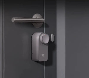 Xiaomi Self-Install Smart Lock EU