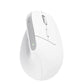 MOUSE USB OPTICAL WRL BAYO+/ERGONOMIC WHT 25399 TRUST