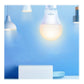 TP-LINK | Smart Wi-Fi Light Bulb | Tapo L510E