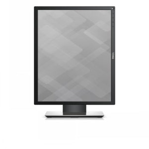 DELL PRO 19 PLUS P1917S FHD 5:4