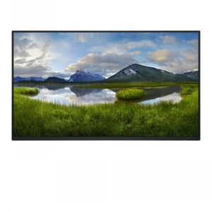 DELL PRO 24 PLUS P2425H FHD IPS 16:9 PIVOT 100HZ USBC-15W (NO STAND)