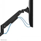 NEOMOUNTS DS70-250BL1 FULL MOTION MONITOR ARM DESK MOUNT FOR 17-35" SCREENS - BLACK
